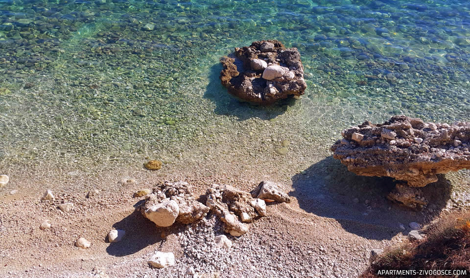 Živogošće Blato plaža Dole